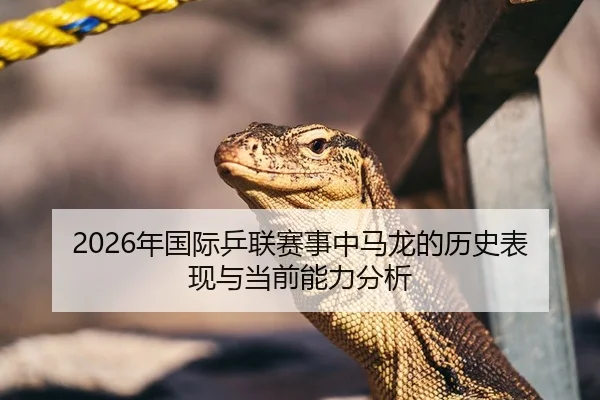 2026年国际乒联赛事中马龙的历史表现与当前能力分析